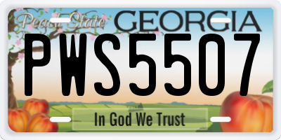 GA license plate PWS5507