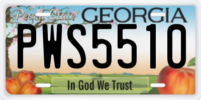 GA license plate PWS5510