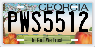 GA license plate PWS5512
