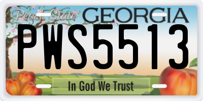 GA license plate PWS5513