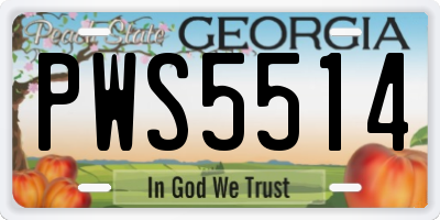 GA license plate PWS5514
