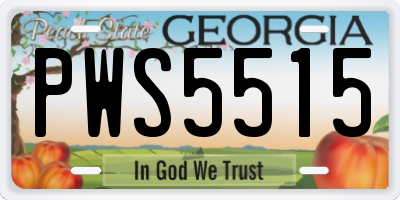 GA license plate PWS5515