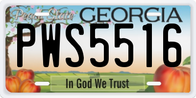 GA license plate PWS5516