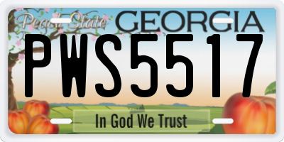 GA license plate PWS5517
