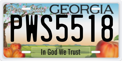 GA license plate PWS5518