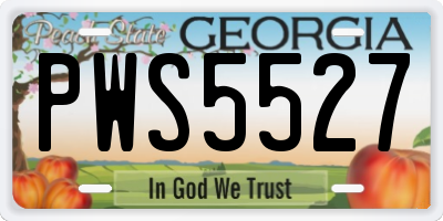 GA license plate PWS5527