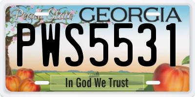 GA license plate PWS5531