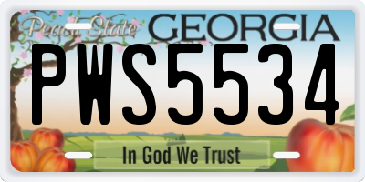 GA license plate PWS5534