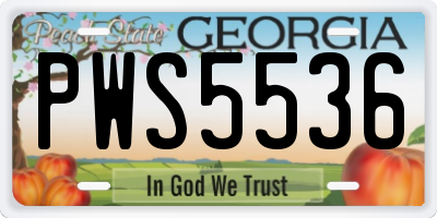 GA license plate PWS5536