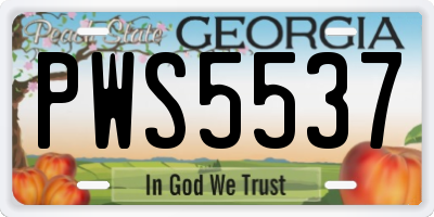 GA license plate PWS5537