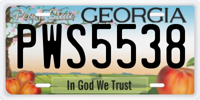 GA license plate PWS5538