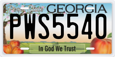 GA license plate PWS5540