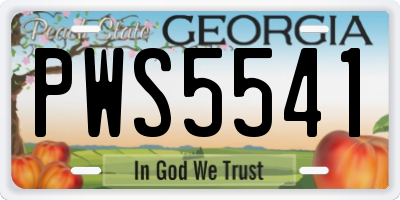 GA license plate PWS5541