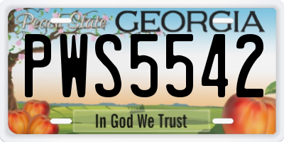 GA license plate PWS5542