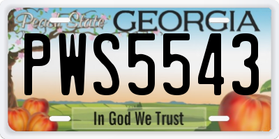 GA license plate PWS5543