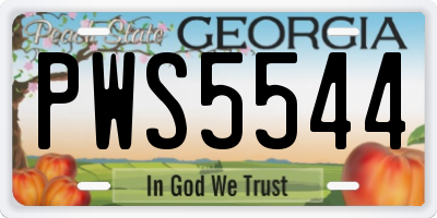 GA license plate PWS5544