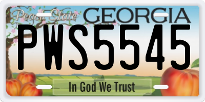 GA license plate PWS5545