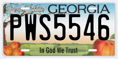 GA license plate PWS5546