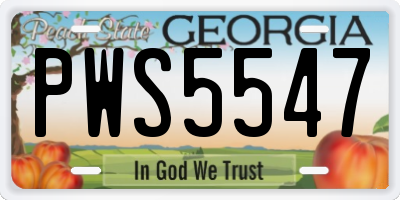 GA license plate PWS5547