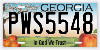 GA license plate PWS5548