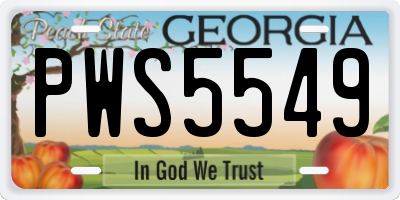 GA license plate PWS5549