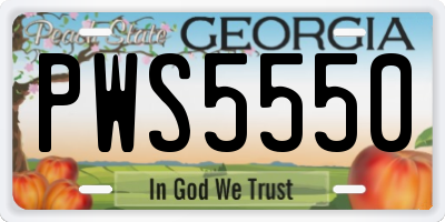 GA license plate PWS5550