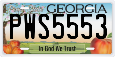 GA license plate PWS5553