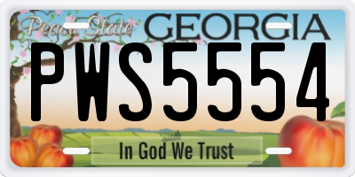 GA license plate PWS5554