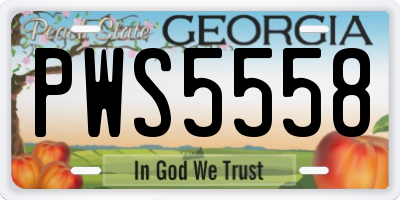 GA license plate PWS5558