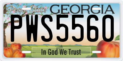 GA license plate PWS5560
