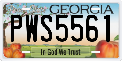 GA license plate PWS5561