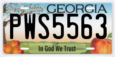 GA license plate PWS5563