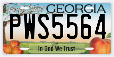 GA license plate PWS5564