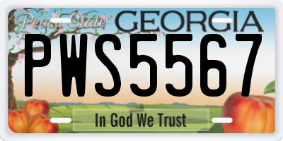 GA license plate PWS5567