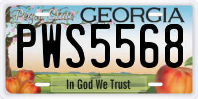 GA license plate PWS5568