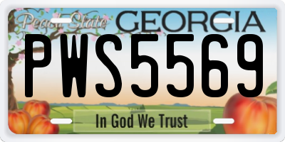 GA license plate PWS5569