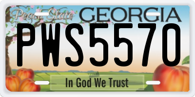 GA license plate PWS5570