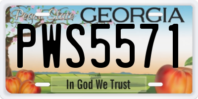 GA license plate PWS5571