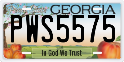 GA license plate PWS5575