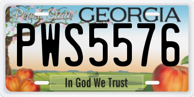 GA license plate PWS5576