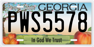GA license plate PWS5578
