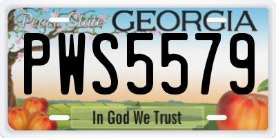 GA license plate PWS5579
