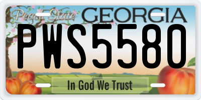 GA license plate PWS5580