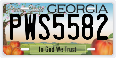 GA license plate PWS5582