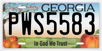 GA license plate PWS5583