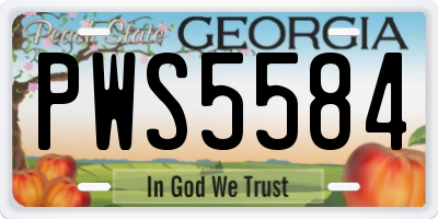 GA license plate PWS5584