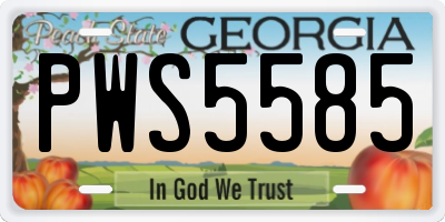 GA license plate PWS5585