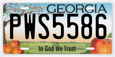 GA license plate PWS5586