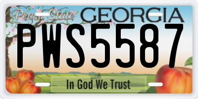 GA license plate PWS5587