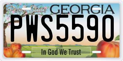 GA license plate PWS5590